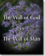 Will of God